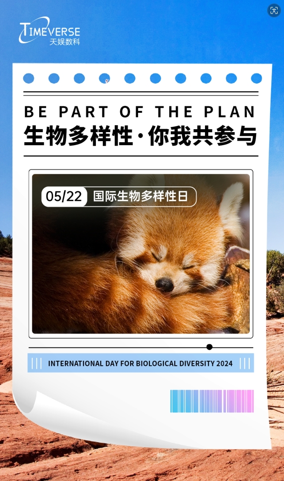 1716450173517274.png 1.png